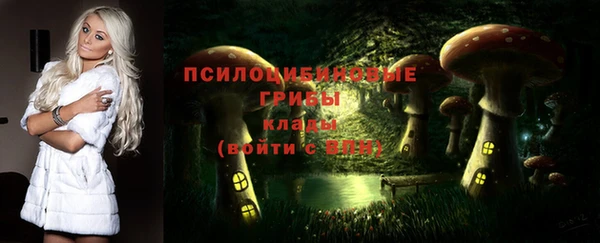 МДПВ Бронницы