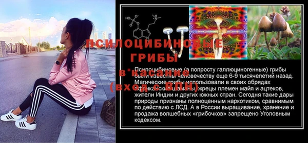спиды Бородино