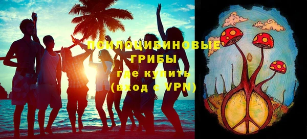 МДПВ Бронницы