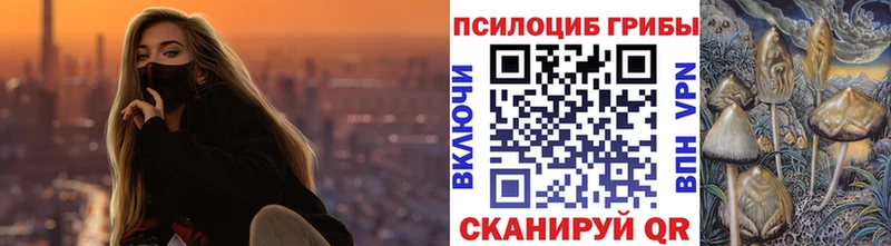 Галлюциногенные грибы Psilocybe  где можно купить наркотик  Буйнакск 