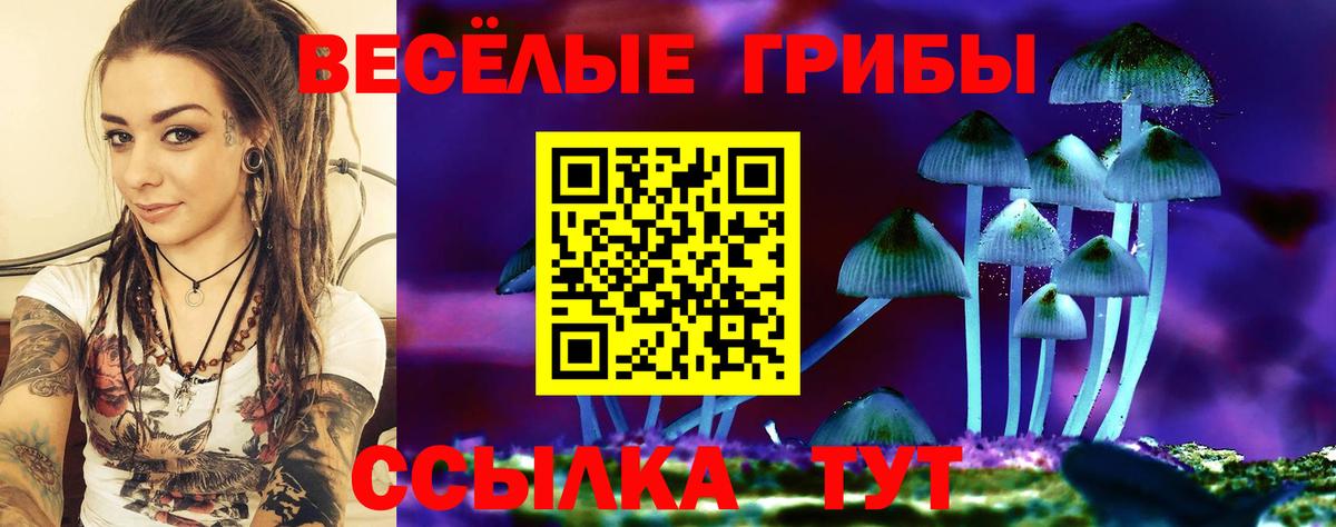 Буйнакск  Галлюциногенные грибы ЛСД  Вход с VPN 